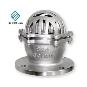 Rọ bơm inox DN100