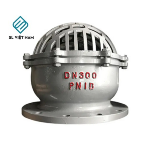 Rọ bơm inox DN300