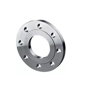 Mặt bích inox DN800